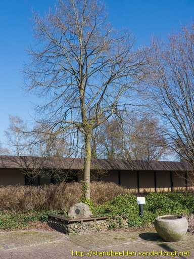 Markelo -  Beatrixboom en -bank