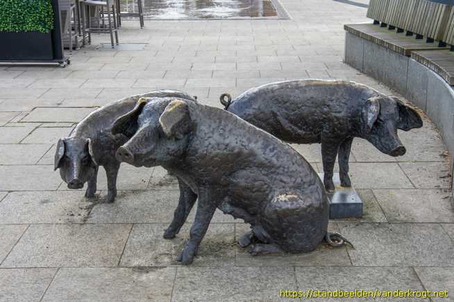 Holten -  Varkens