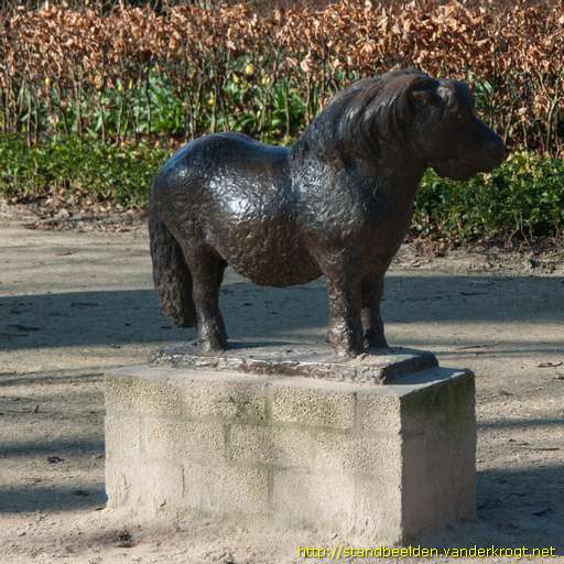 Zwolle -  Pony