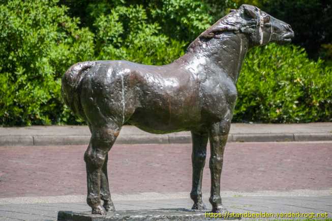 Breukelen - Fjordenpaard