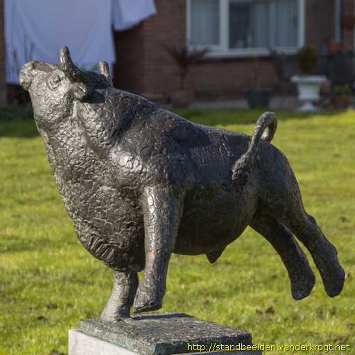 Schalkwijk -  Dartelend Stiertje