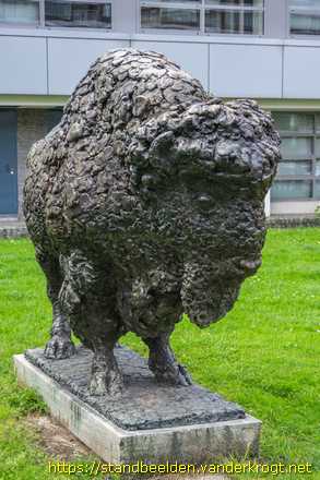 Utrecht - Bizon