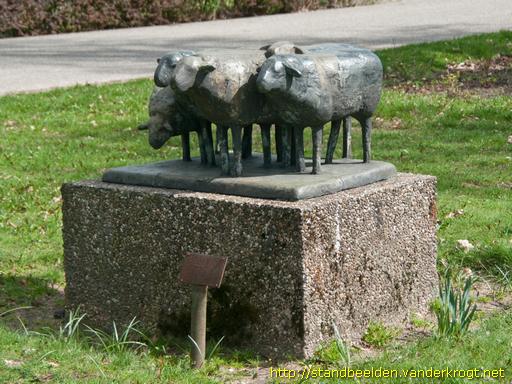 Leersum -  Schapendrift