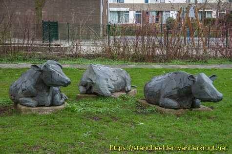 Zegveld - Drie koeien