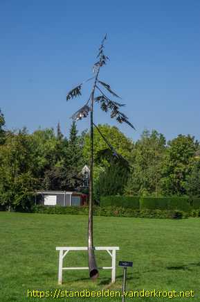 Zeist - Forgotten Pine 2