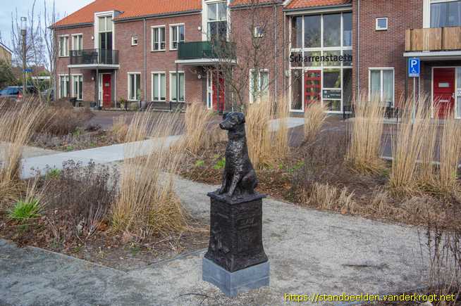 Scharendijke -  Hondje Bläsz