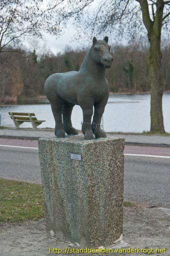 Axel - Zeeuws Paard