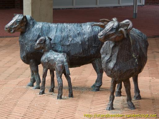 Alblasserdam -  Drentse Schapen