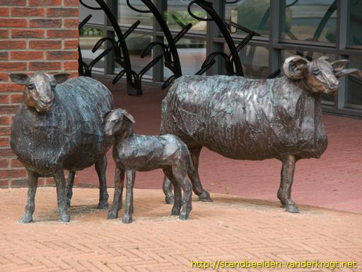 Alblasserdam -  Drentse Schapen
