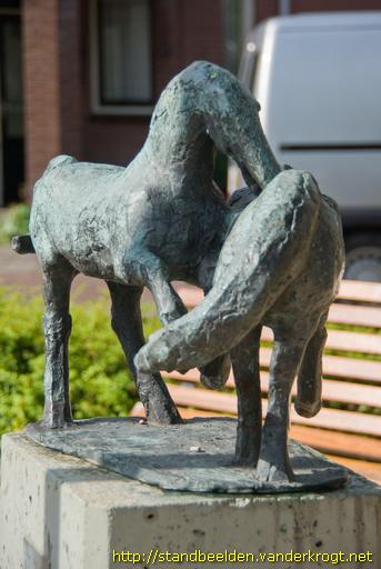 Aarlanderveen -  Spelende jonge paarden