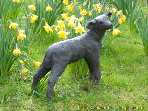 Zwammerdam -  Twaalf Lammetjes