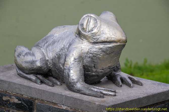 Benthuizen -  Kikker