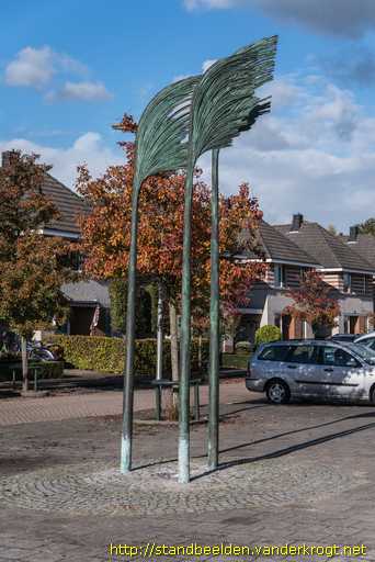 Bergambacht -  Rietpluimen