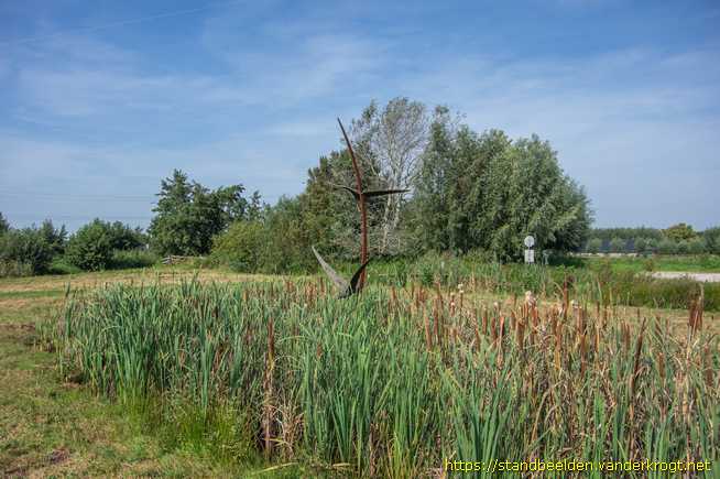Berkenwoude -  Zwarte Sterns