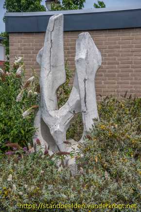 Capelle aan den IJssel -  Groeivorm