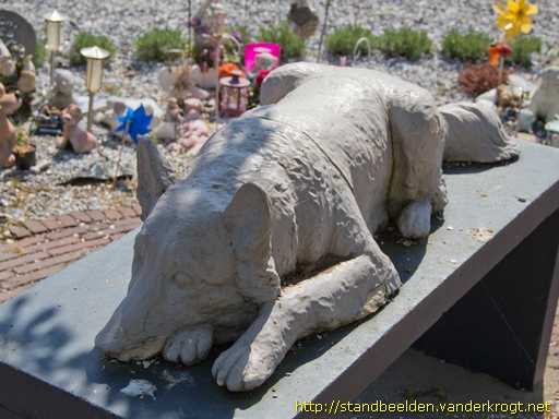 Delft -  Hond