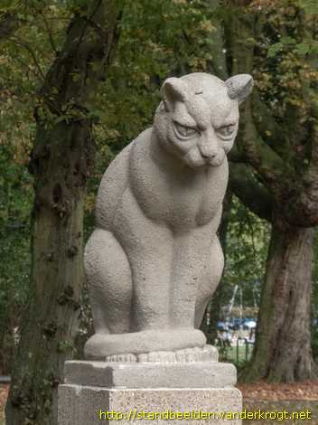 Den Haag -  Kat