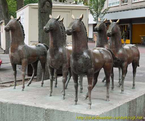 Den Haag -  Groep van 7 paarden