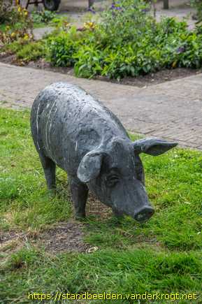 Kaag - Varken