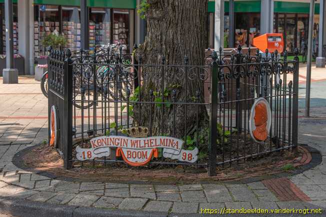 Rijnsburg -  Wilhelminaboom