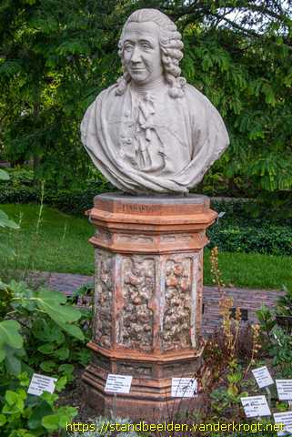Leiden -  Carolus Linnaeus