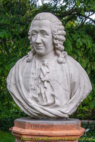 Leiden -  Carolus Linnaeus