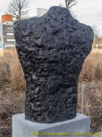 Leiden -  Torso