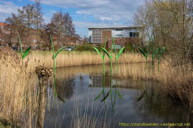 Leiden -  Rietstengels