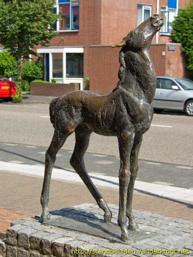 Maassluis -  Veulen