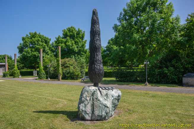 Nootdorp -  Cypres op rots