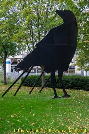 Rotterdam -  Zwarte Kraai