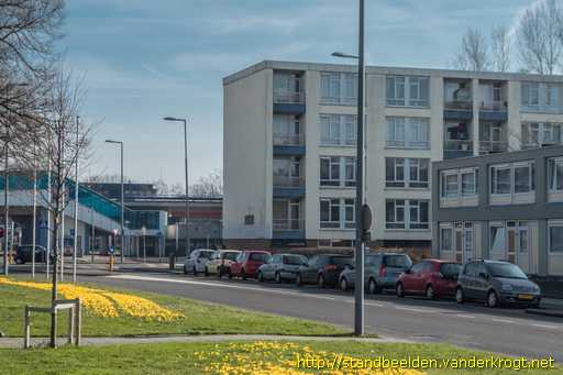 Rotterdam -  Het bouwen