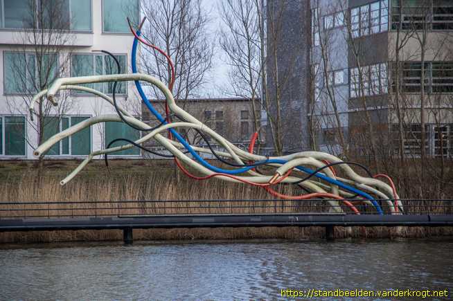 Rotterdam -  IT