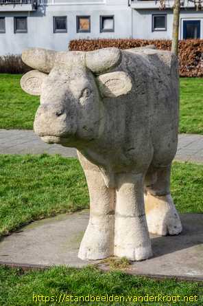 Rotterdam -  Koe