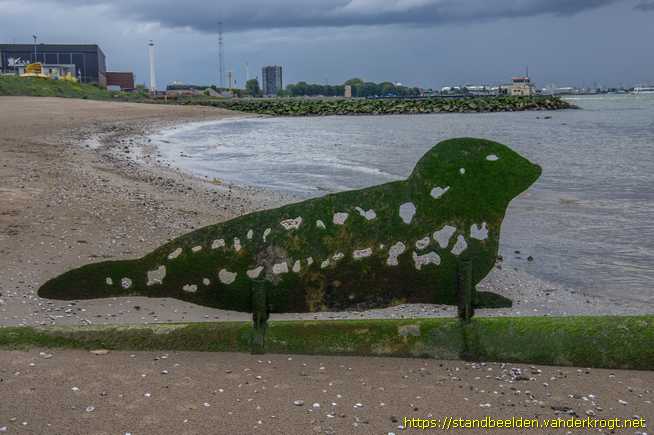 Rotterdam Heijplaat - Zeehond