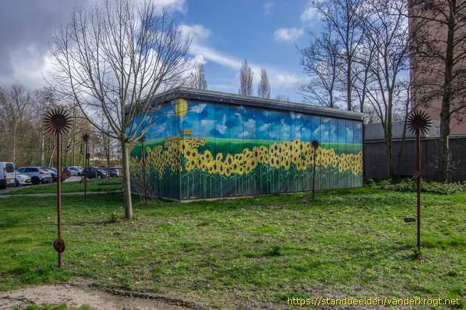 Schiedam -  Zonnebloemen