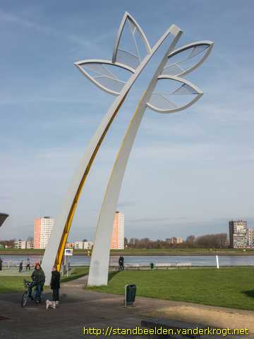 Spijkenisse -  De Bloem