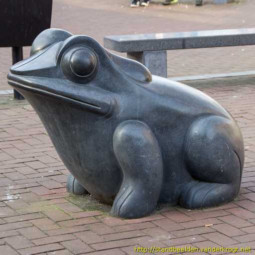Spijkenisse -  Kikker