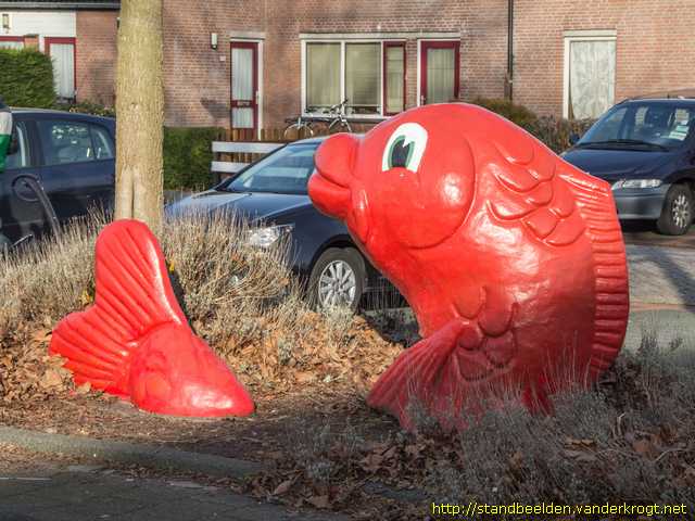 Spijkenisse -  Karper