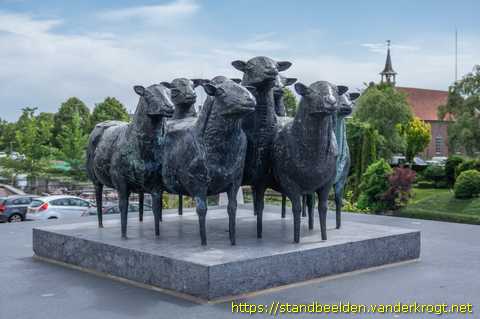 Strijen -  Schapen