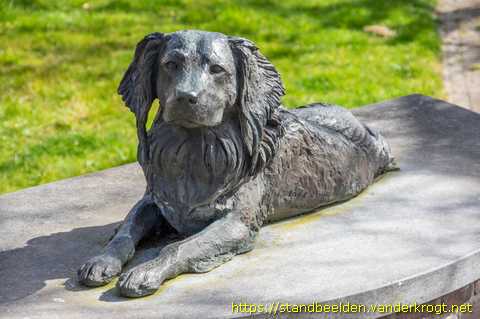 Voorschoten - Jet de Kooikerhond