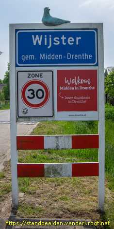 Wijster - Zeemeeuwen