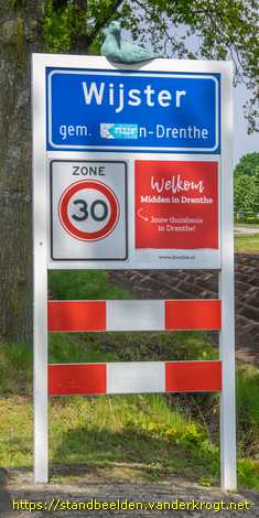 Wijster - Zeemeeuwen
