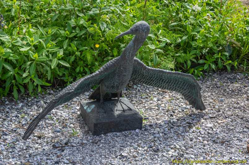 Oost-Vlieland - Moeflon, schol en aalscholver