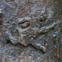 Arnhem - Paulus de Boskabouter