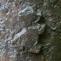 Arnhem - Paulus de Boskabouter