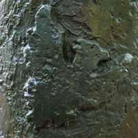 Arnhem - Paulus de Boskabouter