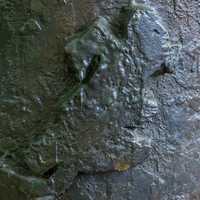 Arnhem - Paulus de Boskabouter