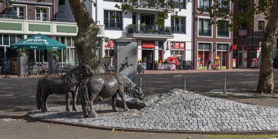 Bemmel - Twee Shetlandpony's