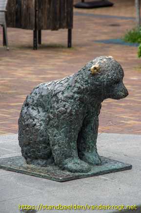 Dieren - IJsberen